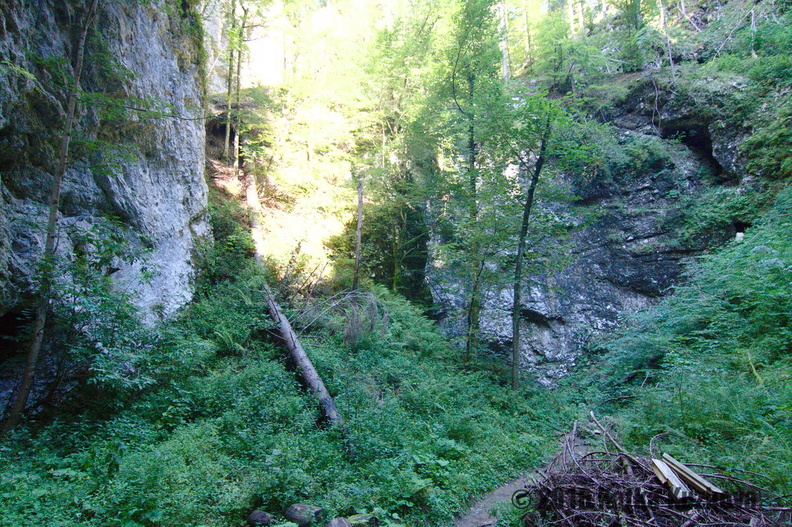 IMG_8038_web.jpg