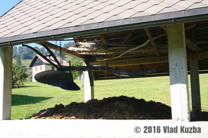 IMG 8270 web