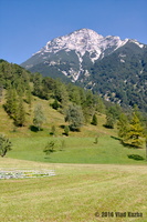 IMG 8271 web