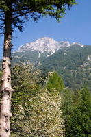 IMG 8273 web