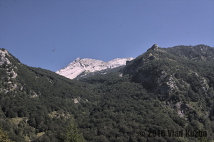 IMG 8274 web