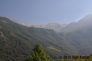 IMG 8275 web