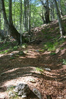 IMG 8279 web