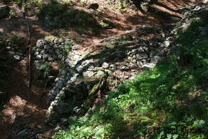 IMG 8280 web
