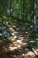 IMG 8287 web