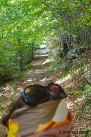 IMG 8289 web