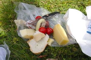 IMG 8298 web