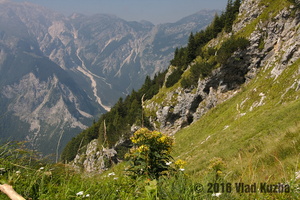IMG 8302 web