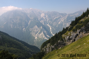 IMG 8306 web