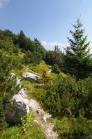 IMG 8314 web