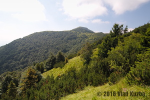 IMG 8315 web