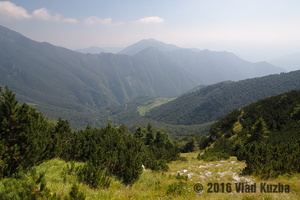 IMG 8318 web