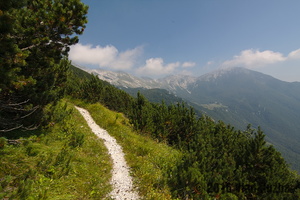 IMG 8319 web