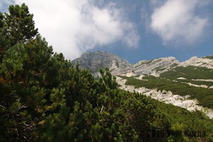 IMG 8321 web