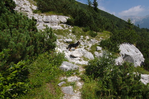 IMG 8322 web