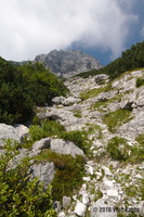 IMG 8324 web
