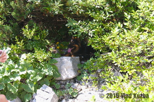 IMG 8325 web