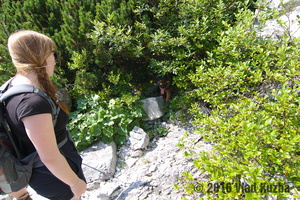 IMG 8326 web