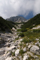 IMG 8327 web