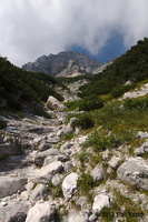 IMG 8328 web