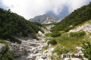 IMG 8329 web