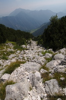 IMG 8330 web