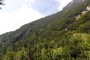 IMG 8333 web