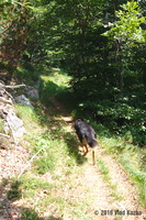 IMG 8344 web