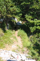 IMG 8345 web