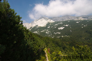 IMG 8346 web