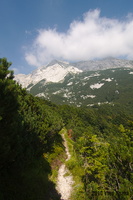 IMG 8347 web