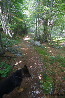IMG 8348 web