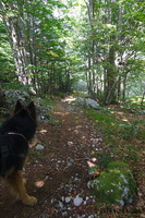 IMG 8349 web