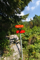 IMG 8350 web
