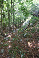 IMG 8351 web