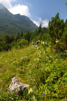 IMG 8353 web