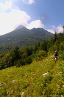 IMG 8354 web