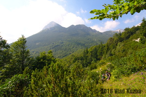 IMG 8356 web