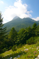 IMG 8358 web