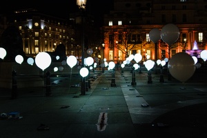 IMG 6713 lr www
