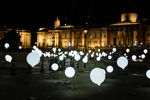 IMG 6719 lr www
