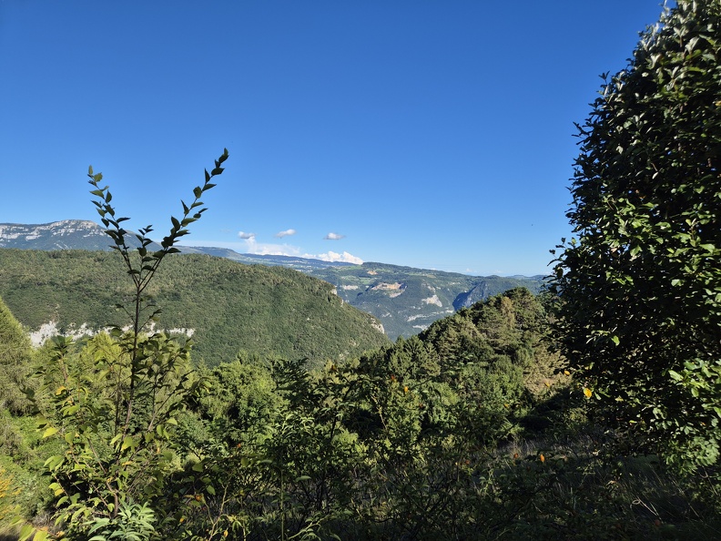 20240909_170020.jpg
